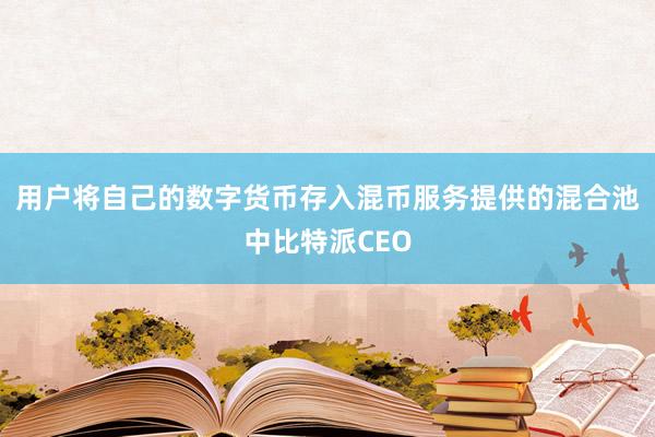 用户将自己的数字货币存入混币服务提供的混合池中比特派CEO
