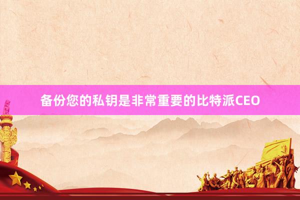 备份您的私钥是非常重要的比特派CEO